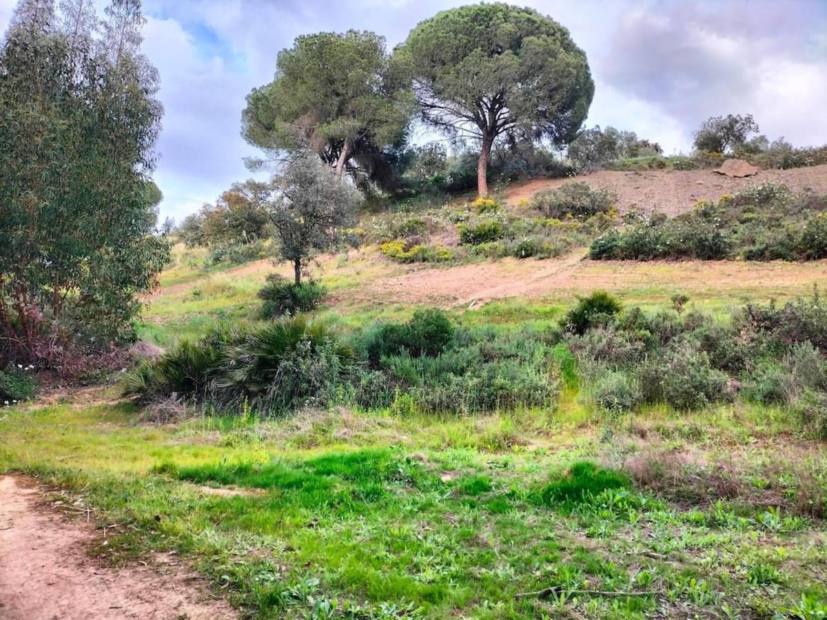 Finca Riodiel Gibraleon Екстер'єр фото